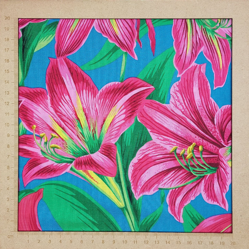 Tissu Kaffe Fassett collective lys fuchsia sur fond bleu