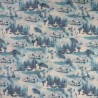 Tissu Star Wars blanc et bleu R2D2 et Faucon Millenium - coton