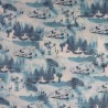 Star Wars fabric in white and blue cotton with R2D2 and Millennium Falcon patterns