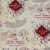 Tissu Harry Potter carte du Maraudeur - coton